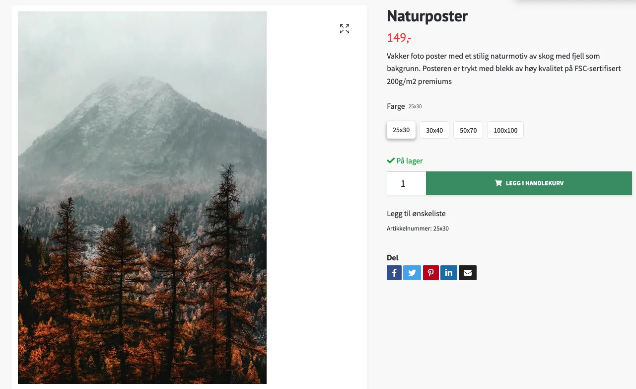 Skjermbilde for: Hvordan endrer jeg sidetittel og sidebeskrivelse på et produkt?