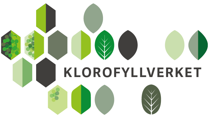 Klorofyllverket