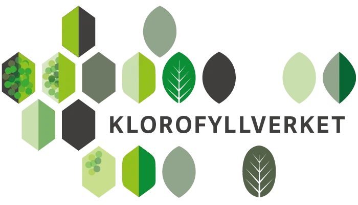 Klorofyllverket